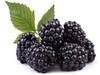 Picture of Blackberry - Imported - 150.00 gm