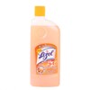 Picture of Lizol Sandal Cleaner 500ML