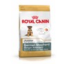 Picture of Royal Canin German Shephard Junior Dog Food 12kg