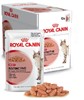 Picture of Royal Canin Adult Instinctive Gravy Food (6X85gms)