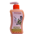 Picture of Patanjali Herbal Hand Wash 250 Ml