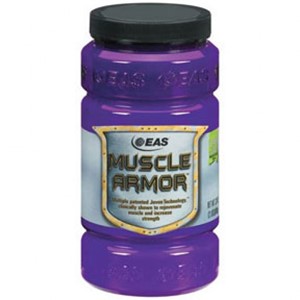 Picture of Muscle Armour 420gm